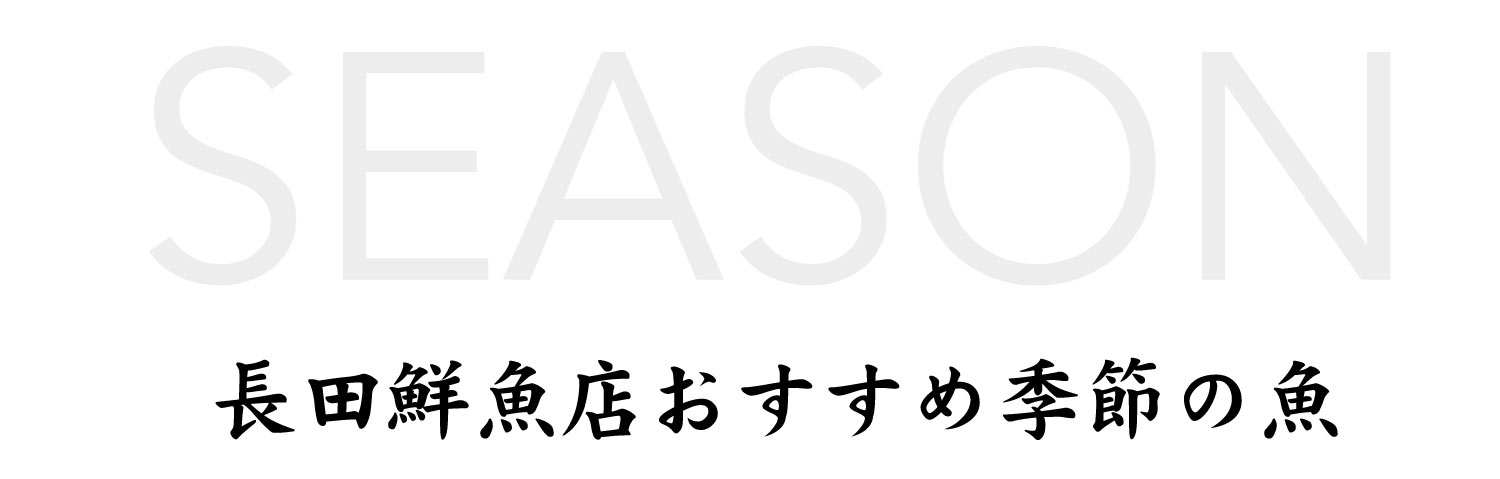 長田鮮魚店おすすめ季節の魚